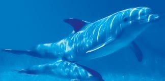 Aujourd’hui, nous voyons de grands évènements approcher pour l’humanité